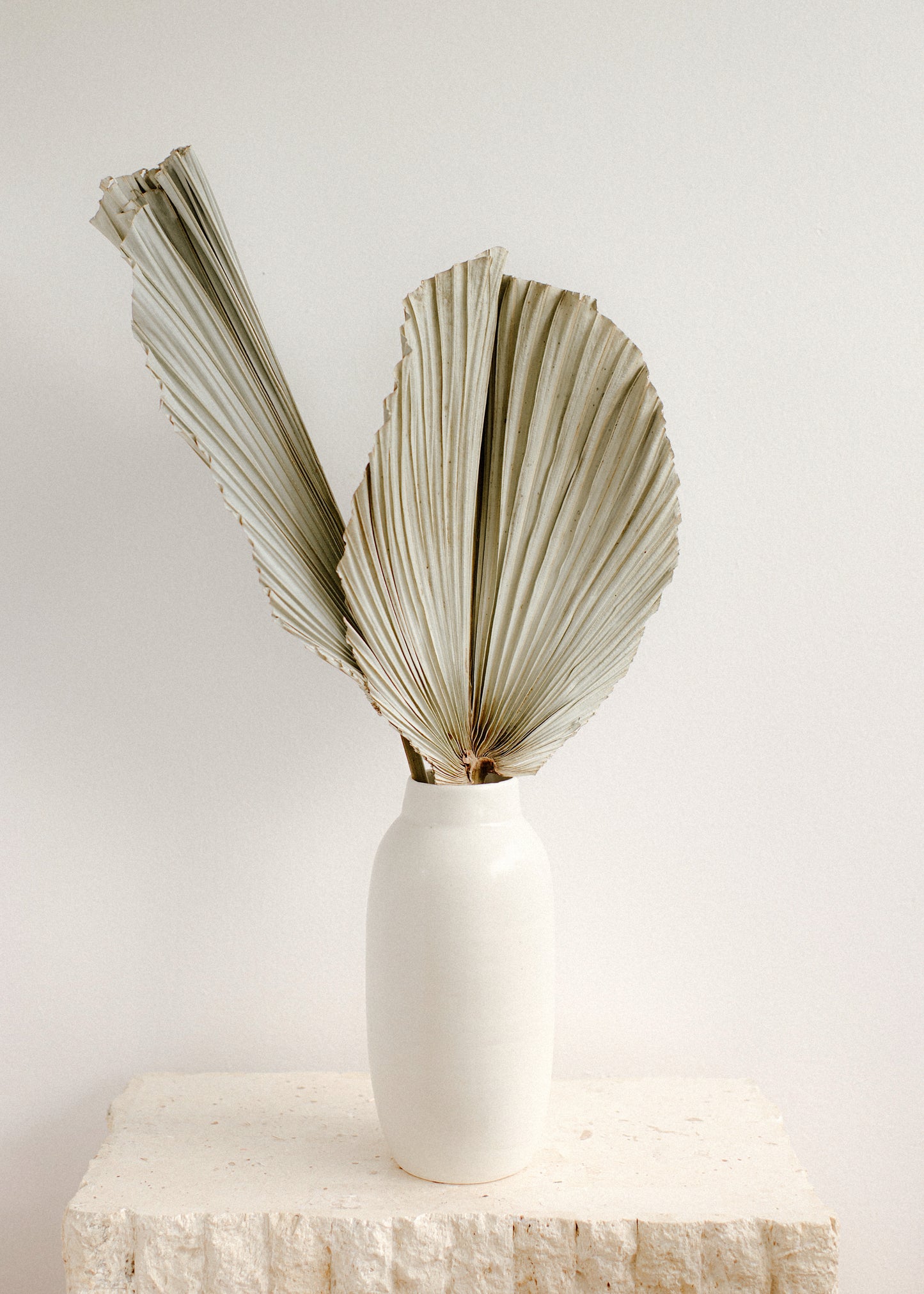 Large Natural Fan Palm