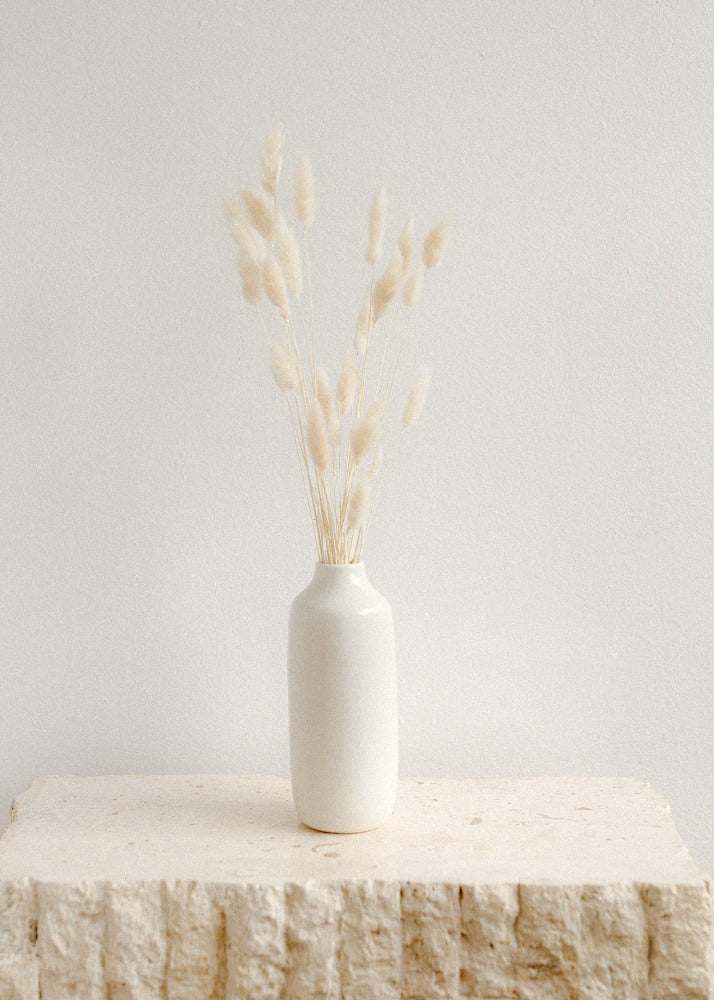 Vancouver Dried Flowers - Dried Flower Delivery -