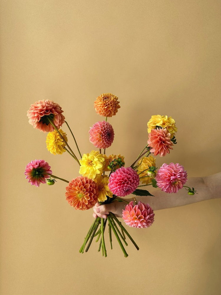 Vancouver Dahlia Bouquet - Vancouver Flower Delivery