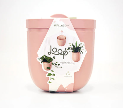 WallyGrow Loop Planters
