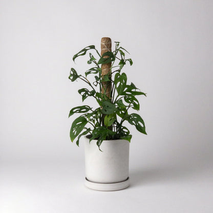 KANSO Coco Coir Poles