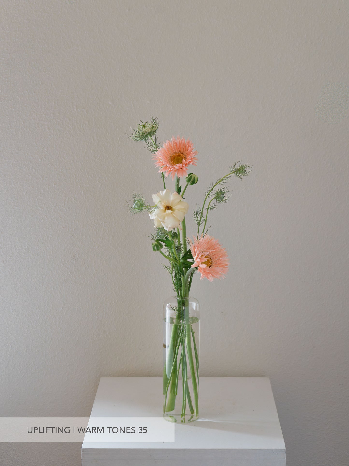 Glass Bud Vase