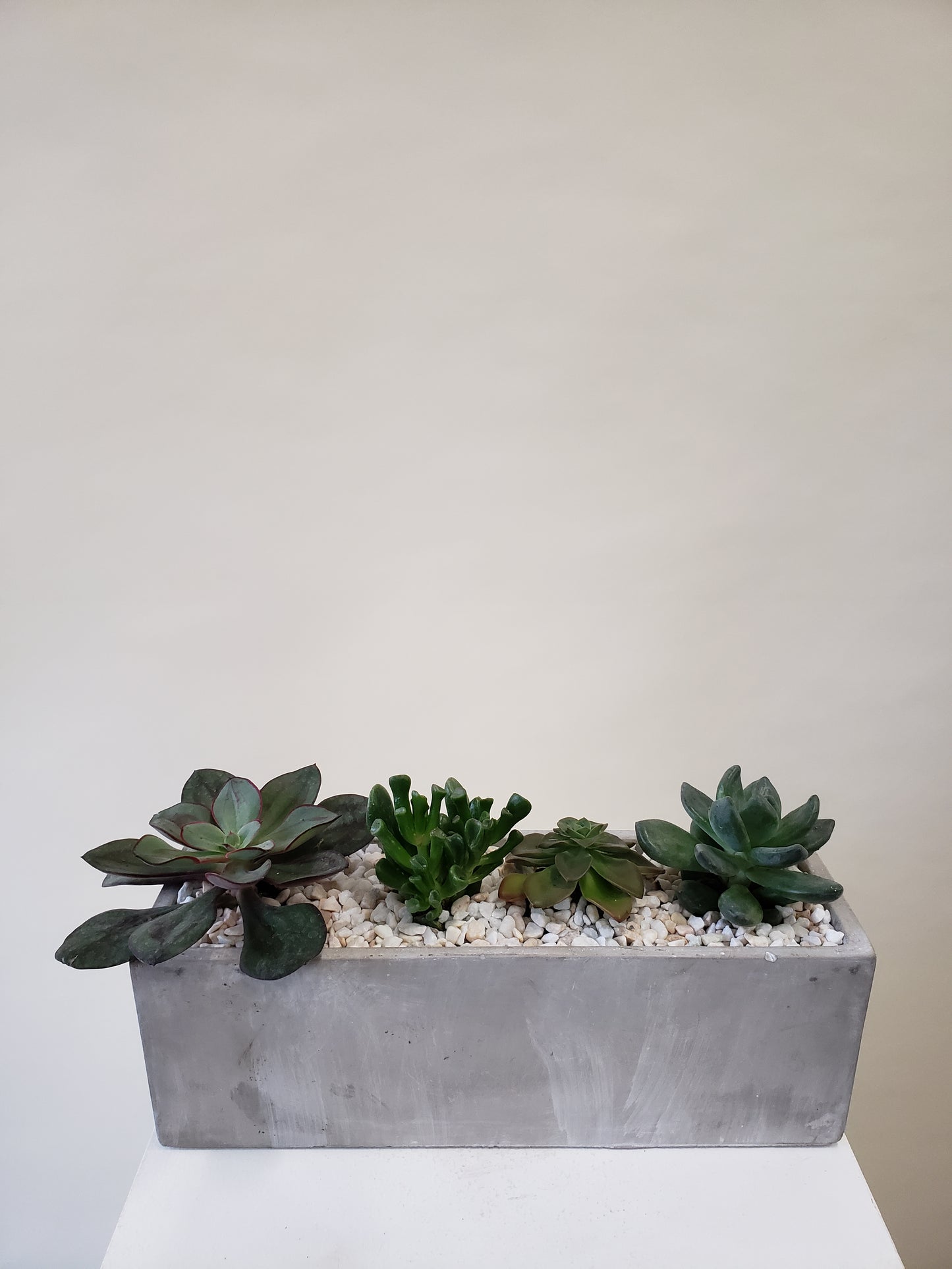 Succulent Rectangular Planter - 4