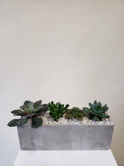Succulent Rectangular Planter - 4