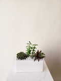Succulent Rectangular Planter - 3
