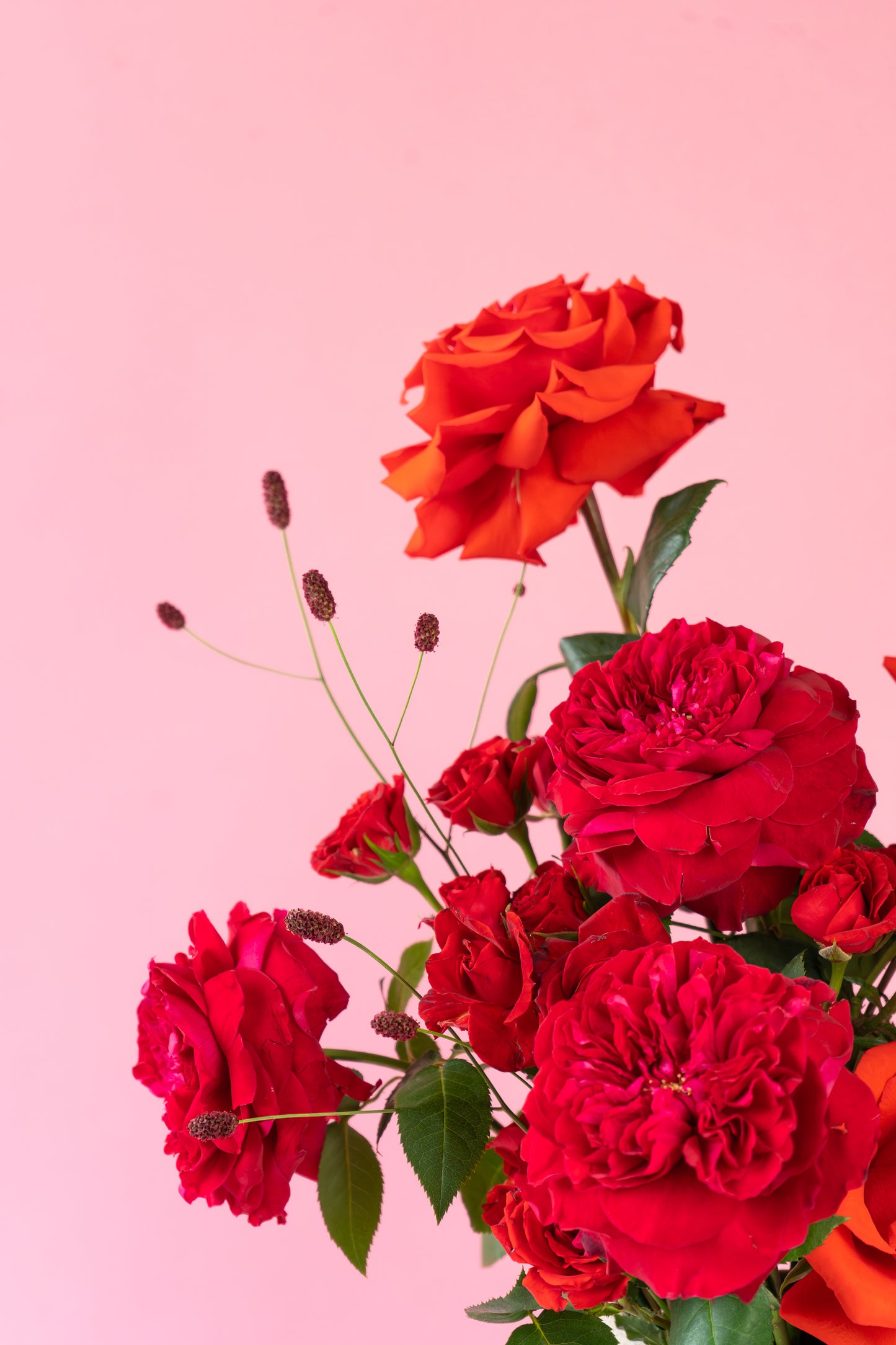 Valentine's HUG Arrangement