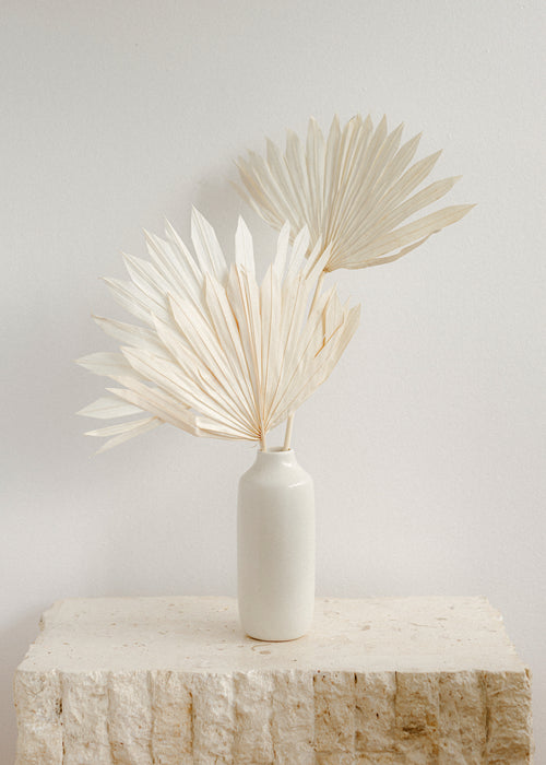 White Palm Spear