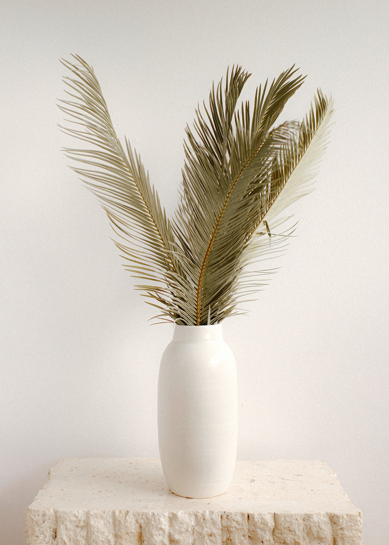 Natural Sago Palm