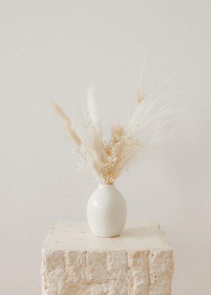 Vancouver Dried Flowers - Dried Flower Delivery - 