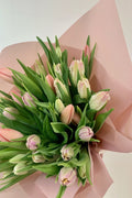 Vancouver Tulip Bouquet - Vancouver Flower Delivery