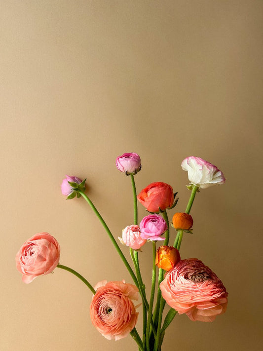 Mother's Day - Vancouver Florist - Vancouver Flower Delivery