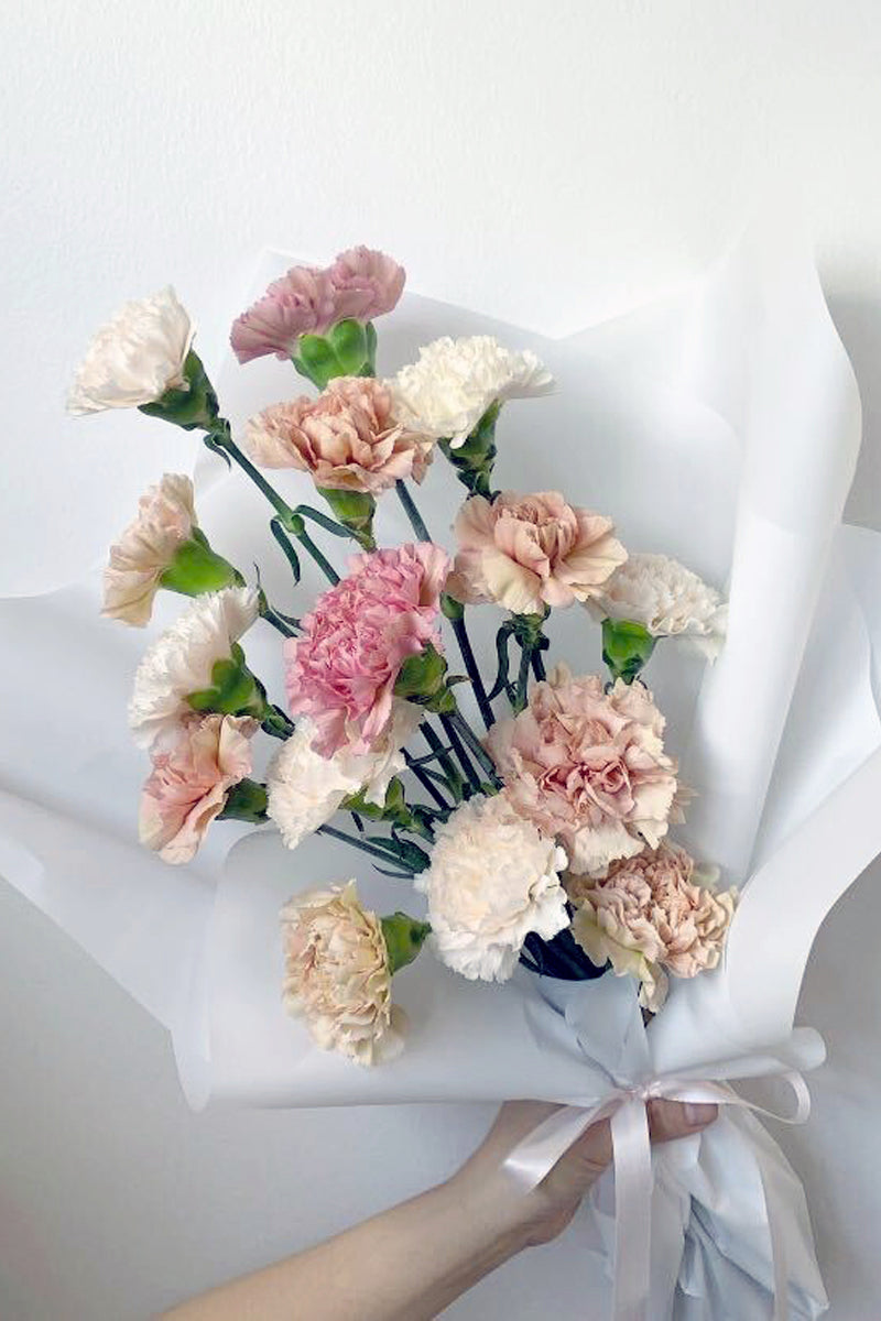 Vancouver Carnations - Vancouver Flower Delivery